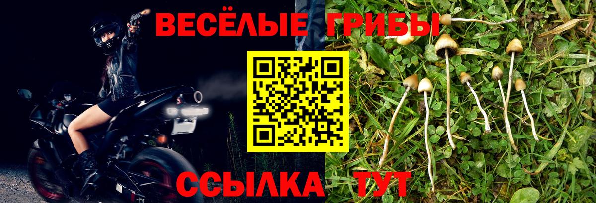 Дальнереченск  Псилоцибиновые грибы Magic Shrooms  Вход с VPN 