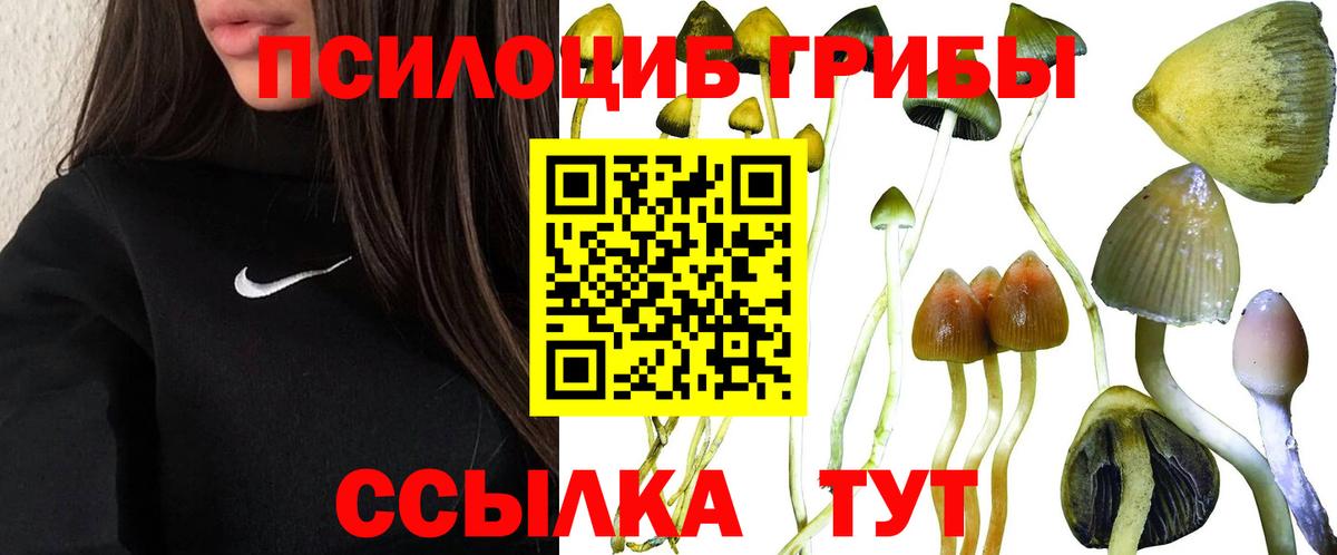 Галлюциногенные грибы Magic Shrooms Дальнереченск